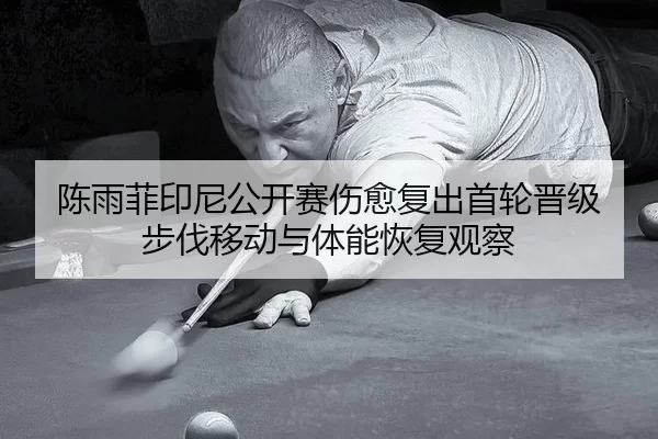 chen-yu-fei-yin-ni-gong-kai-sai-shang-yu-fu-chu-shou-lun-jin-ji-bu-fa-yi-dong-yu-ti-neng-hui-fu-guan-cha-2-722.jpg